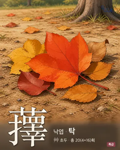 蘀 (낙엽 탁) - 특급 한자 일러스트 카드