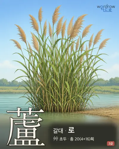 蘆 (갈대 로) - 2급 썸네일