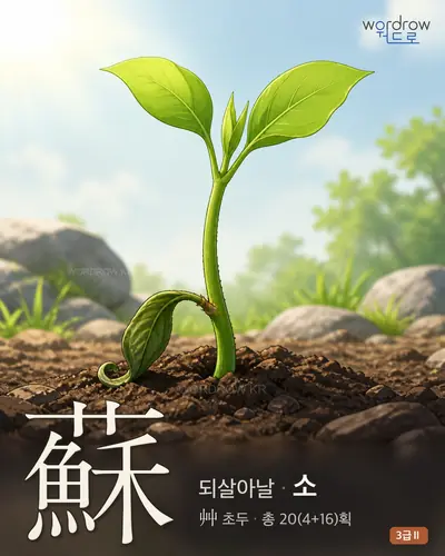 蘇 (되살아날 소) - 3급Ⅱ 썸네일