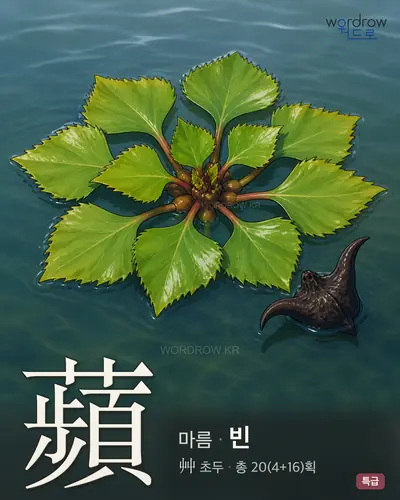 蘋 (마름 빈) - 특급 한자 일러스트 카드