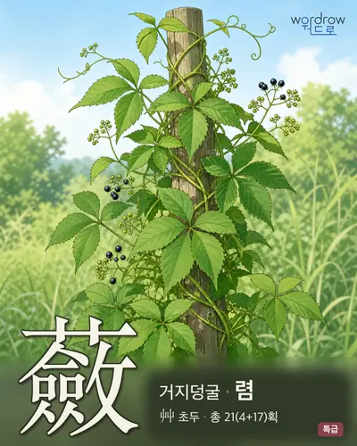 蘞 연상 그림