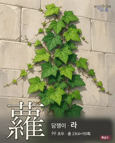蘿 (담쟁이 라) - 특급Ⅱ 한자 일러스트 카드