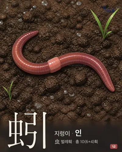 蚓 연상 그림