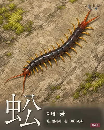 蚣 (지네 공) - 특급Ⅱ 썸네일
