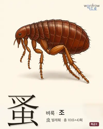 蚤 (벼룩 조) - 특급Ⅱ 썸네일