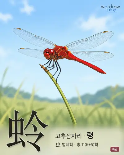 蛉 (고추잠자리 령) - 특급 썸네일