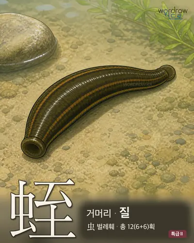 蛭 (거머리 질) - 특급Ⅱ 한자 일러스트 카드