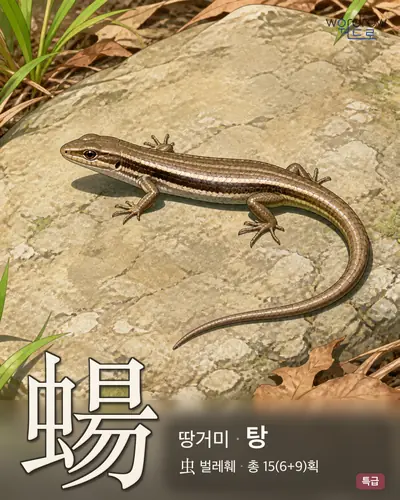蝪 연상 그림
