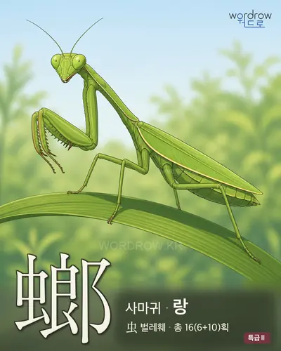 螂 (사마귀 랑) - 특급Ⅱ 썸네일