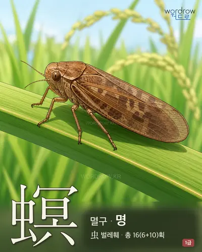 螟 (멸구 명) - 1급 썸네일