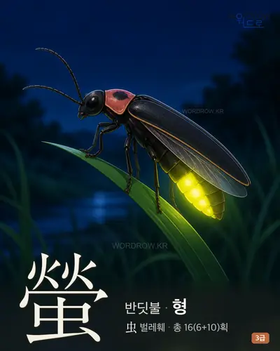 螢 반딧불