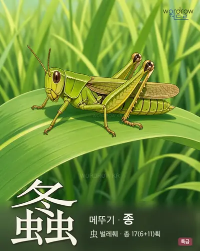 螽 (메뚜기 종) - 특급 썸네일