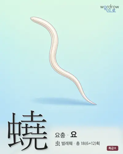 蟯 (요충 요) - 특급Ⅱ 한자 일러스트 카드