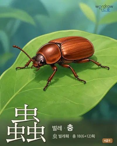 蟲 벌레