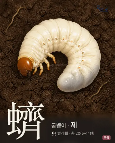 蠐 (굼벵이 제) - 특급 썸네일
