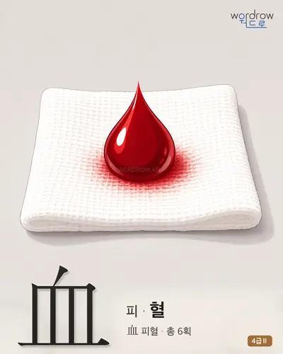 血 피