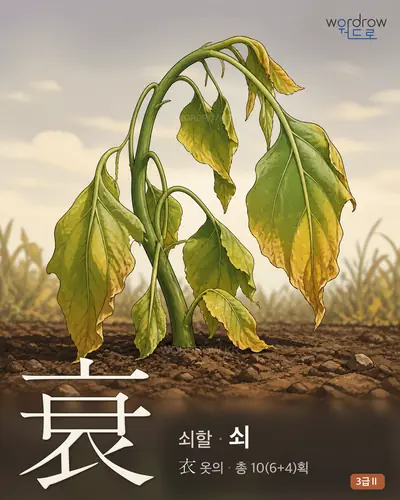 衰 (쇠할 쇠) 썸네일