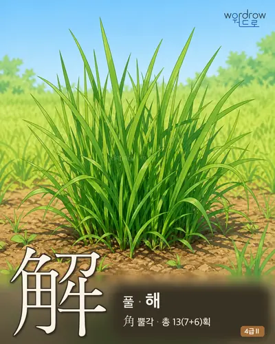 解 (풀 해) - 4급Ⅱ 한자 일러스트 카드