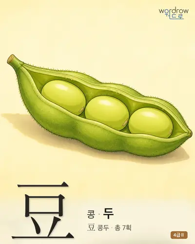 豆 콩