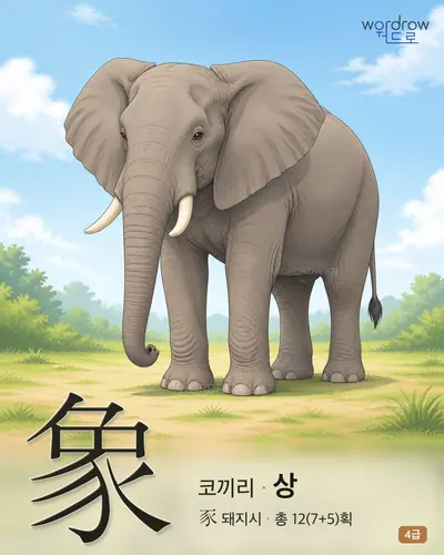 象 코끼리