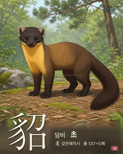 貂 (담비 초) - 1급 한자 일러스트 카드
