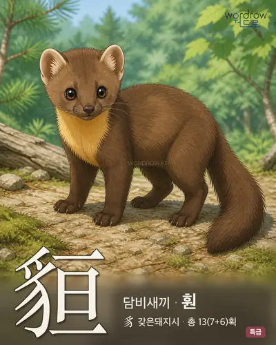 貆 (담비새끼 훤) - 특급 한자 일러스트 카드