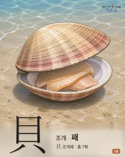 貝 조개