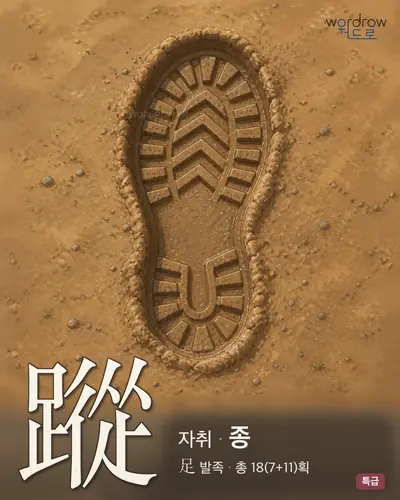 蹤 (자취 종) - 특급 한자 일러스트 카드