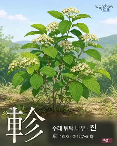 軫 (수레뒤턱나무 진) - 특급Ⅱ 썸네일