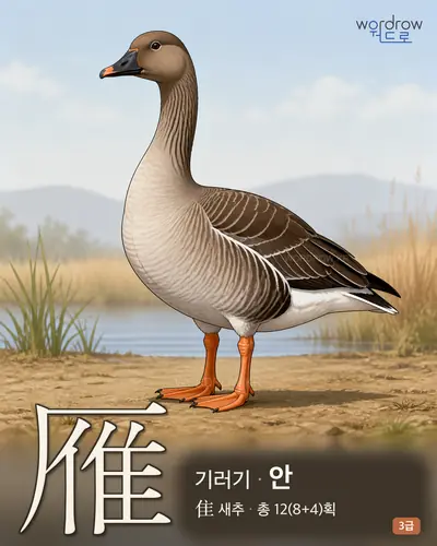 雁 (기러기 안) - 3급 썸네일