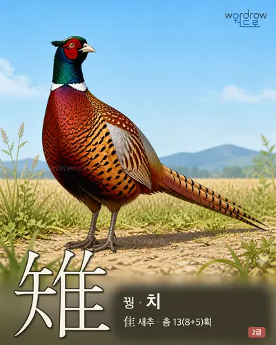 雉 (꿩 치) - 2급 한자 일러스트 카드
