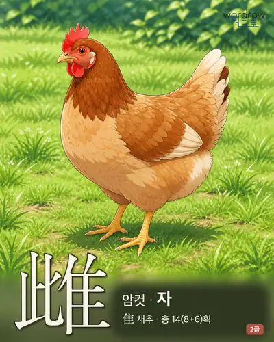雌 (암컷 자) - 2급 한자 일러스트 카드