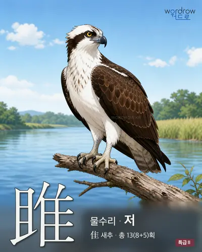 雎 (물수리 저) - 특급Ⅱ 한자 일러스트 카드