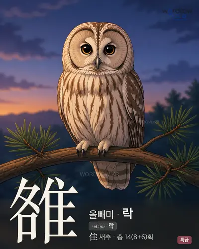 雒 (올빼미 락) - 특급 한자 일러스트 카드