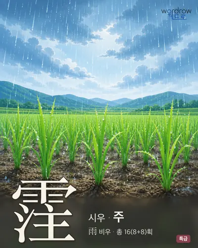 霔 (시우 주) - 특급 한자 일러스트 카드