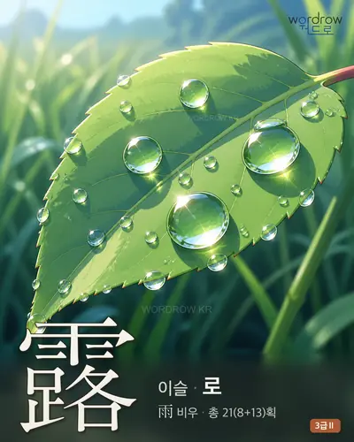 露 (이슬 로) - 3급Ⅱ 썸네일