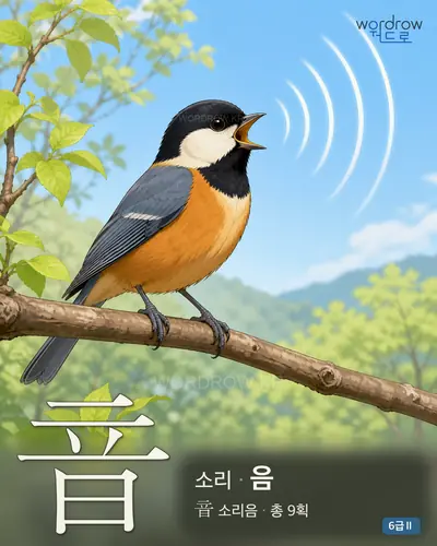 音 소리
