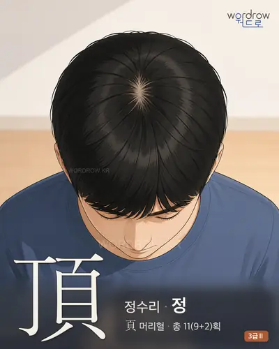 頂 (정수리 정) - 3급Ⅱ 한자 일러스트 카드