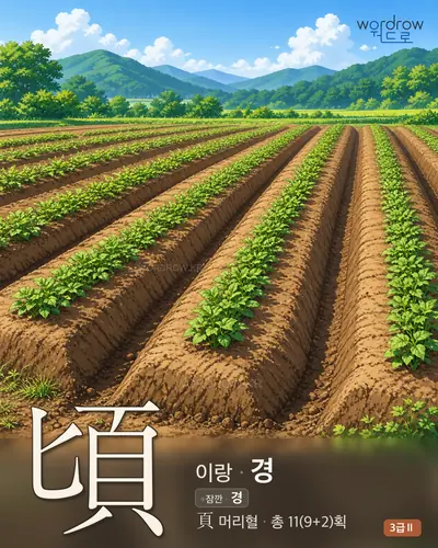 頃 (이랑 경) - 3급Ⅱ 썸네일