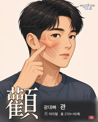 顴 (광대뼈 관) - 1급 썸네일