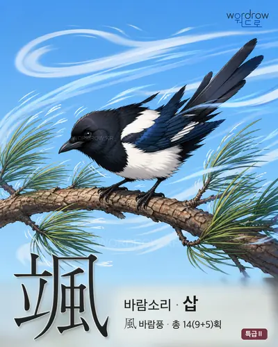 颯 (바람소리 삽) - 특급Ⅱ 한자 일러스트 카드