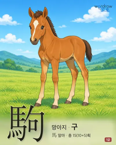 駒 (망아지 구) - 1급 썸네일