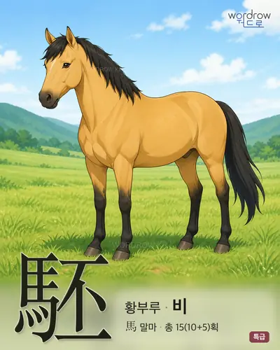 駓 (황부루 비) - 특급 한자 일러스트 카드