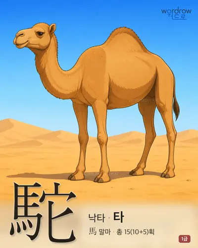 駝 (낙타 타) - 1급 썸네일