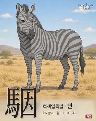 駰 (회색얼룩말 인) - 특급 한자 일러스트 카드