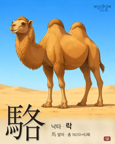 駱 (낙타 락) - 1급 썸네일