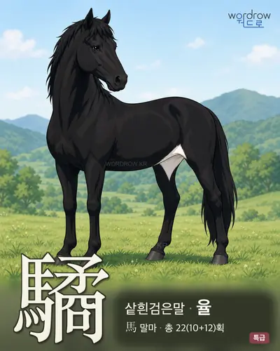 驈 (샅흰검은말 율) - 특급 한자 일러스트 카드