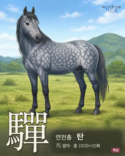 驒 (연전총(連錢驄) 탄) - 특급 한자 일러스트 카드