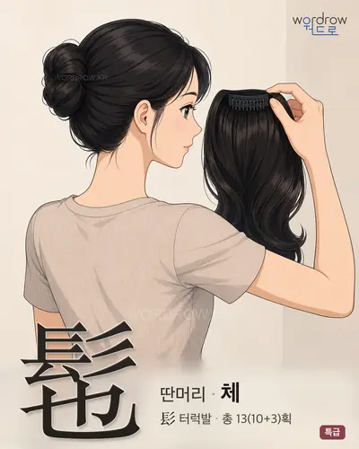 髢 (딴머리 체) - 특급 한자 일러스트 카드