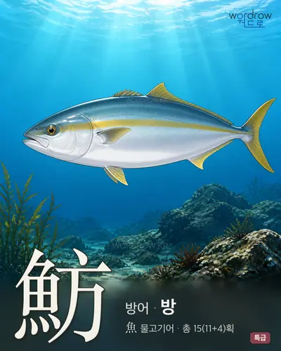 魴 (방어 방) - 특급 한자 일러스트 카드
